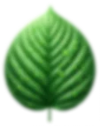 Main footer efarms