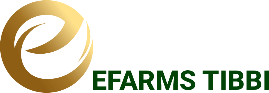 Efarms Tibbi